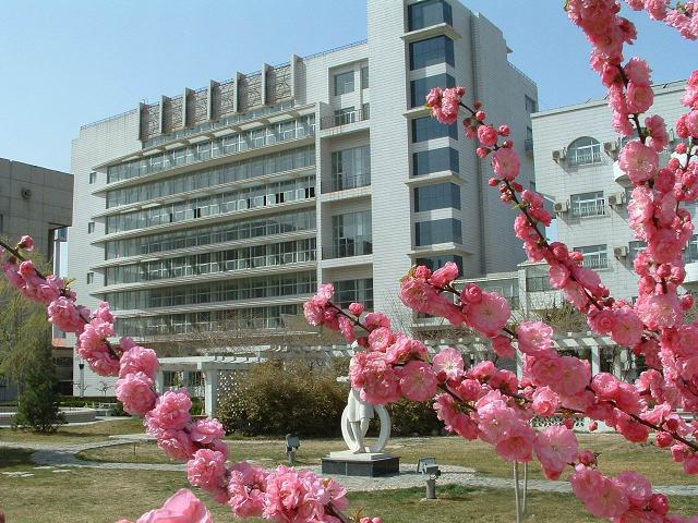 又大又骚www国产